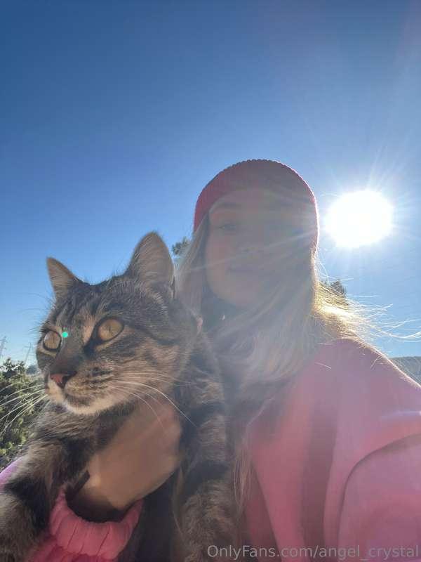 The one hundred and fifty-fifth cat I've petted this day... ..