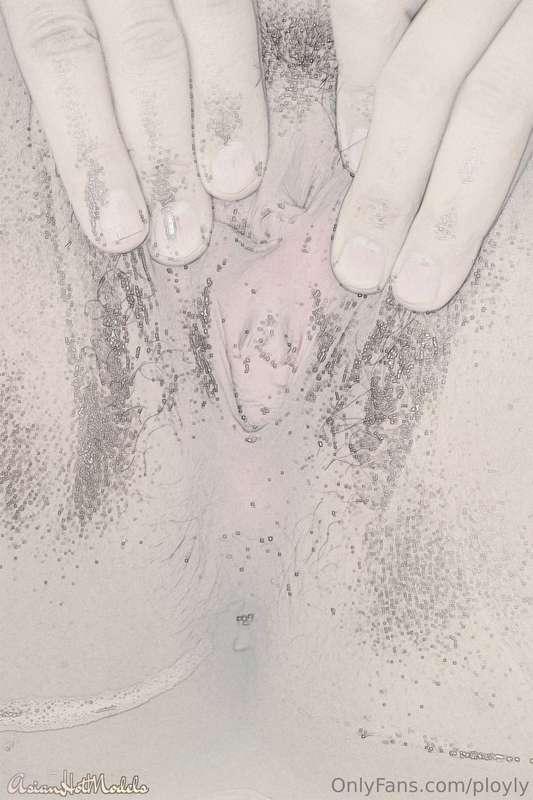 ployly image #0