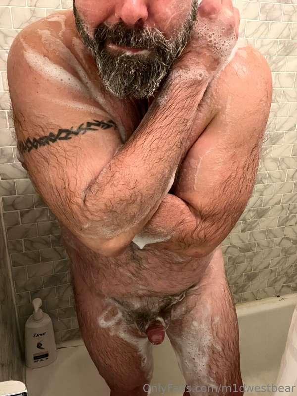 m1dwestbear image #4