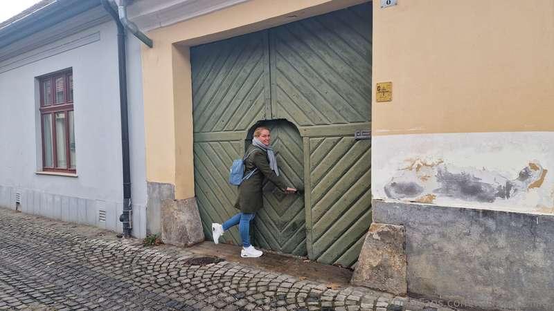 kathianobilixx image #0