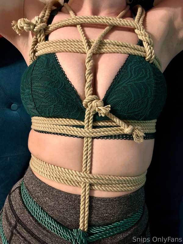 Shibari >>>