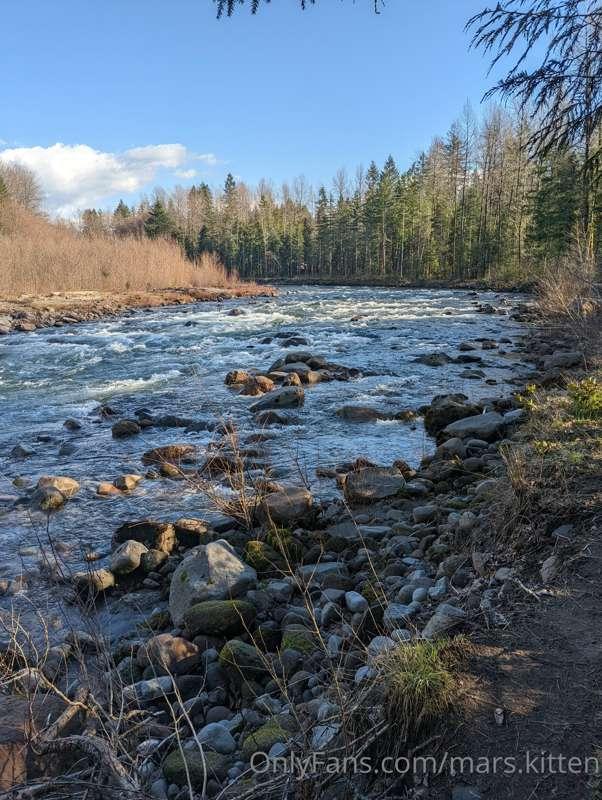 Hello! I just got back from a weekend getaway and the office..