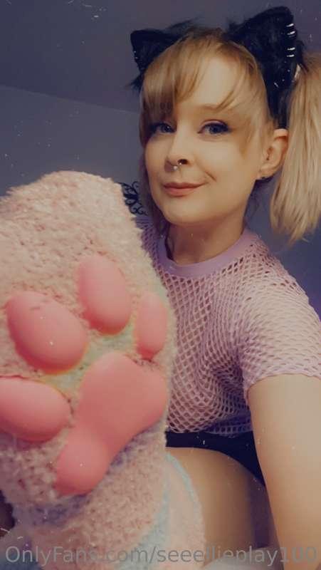 I has. Toe beans now. 😽