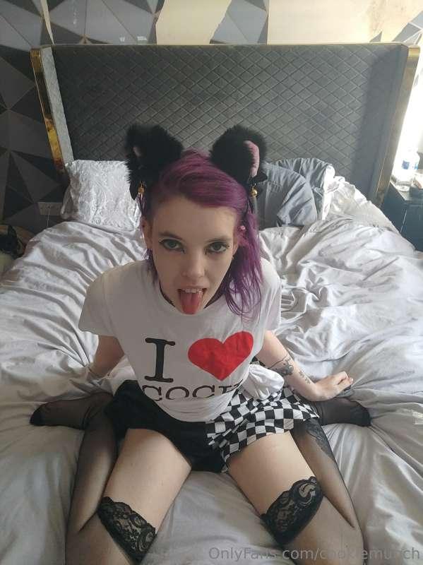 cookiemunch image #5