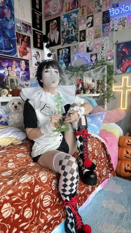 indigowhite image #10