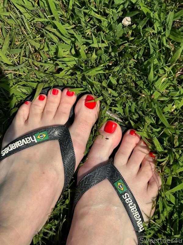 Red toes for late summer. There’s a sexy video of them on my..
