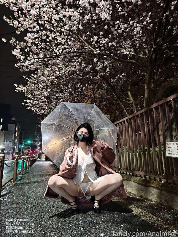anaimiya image #5