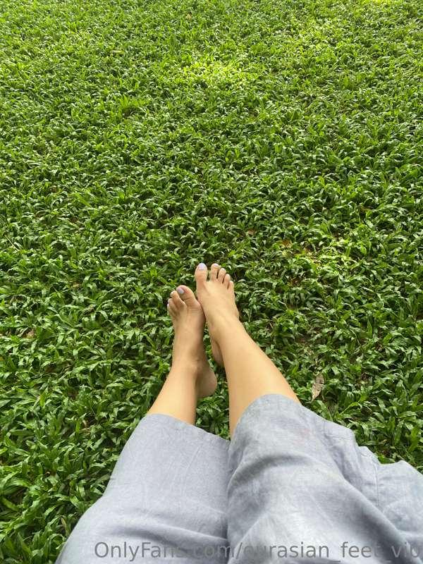 eurasian_feet_vip image #0