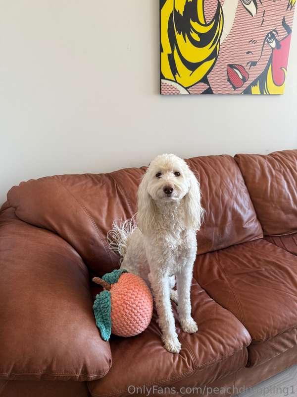 Look who’s back!!! Lily Mae Jenkins 🥰😍 !!!!! I have her next..