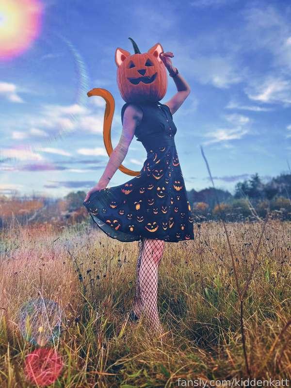 kiddenkatt image #3