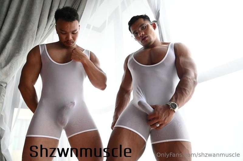 shzwanmuscle image #2