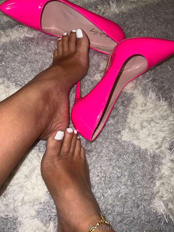 nylonskitten image #5