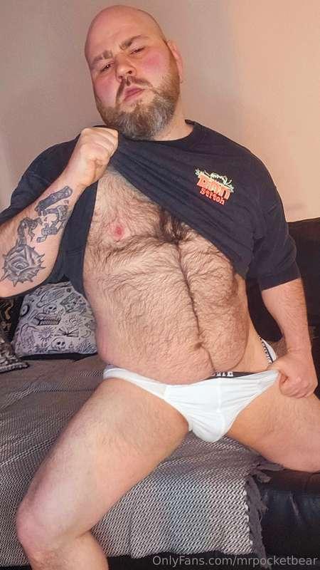 mrpocketbear image #8