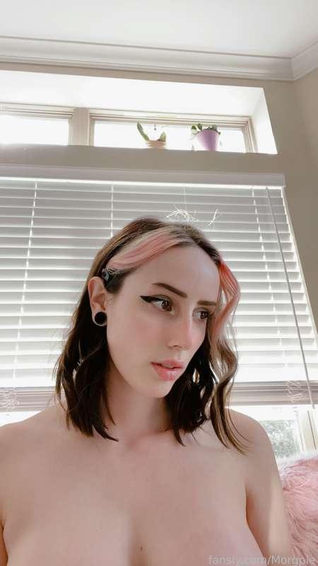 morgpie image #14