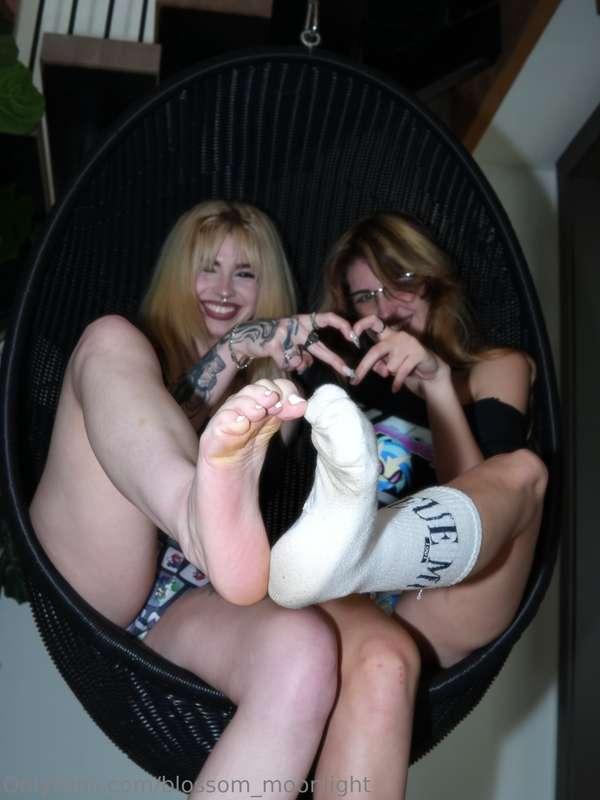 blossom_moonlight image #1