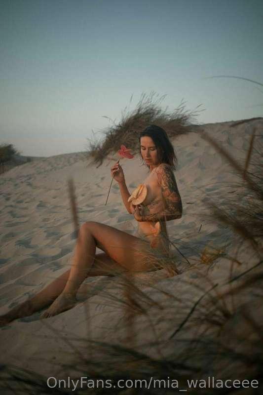 In the rays of the setting sun, I, wrapped in petals, meet t..