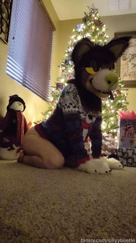 sillyybeetle image #5