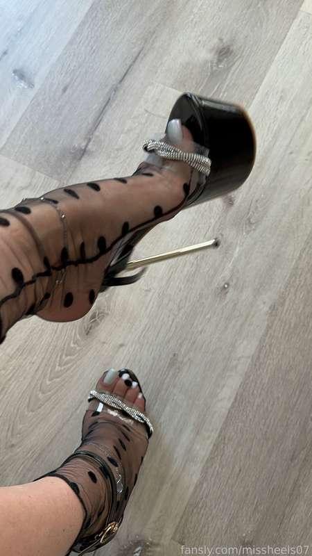 #Feet #foot #worshipping #heels #footfetish #footjob #shoejob #stockings #nylon #soles #toes #sandals #footlicking #wedges #pedi #manicure #longnails #nails #legs #highheels #mules #pedicure #shoes #feetfetish #legs #cumshot #cum #cumonfeet 