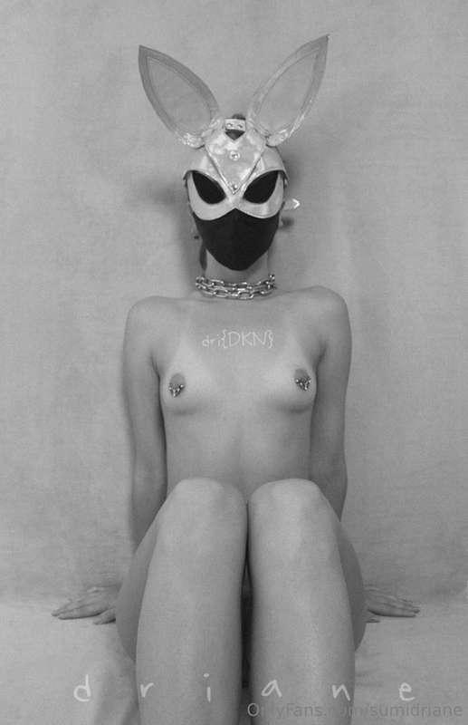 Submissive bunny