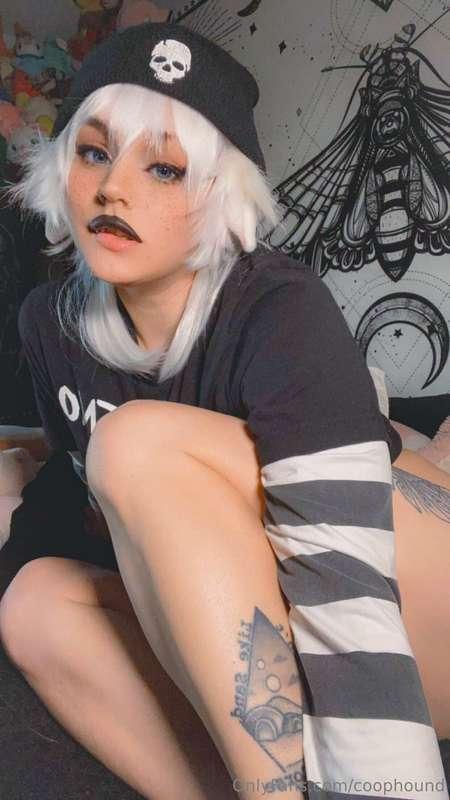 coophound image #6