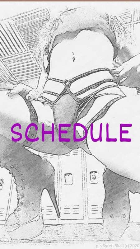 SCHEDULE 

***PPV Office Hours***
*Monday - Friday*
9pm - 12..