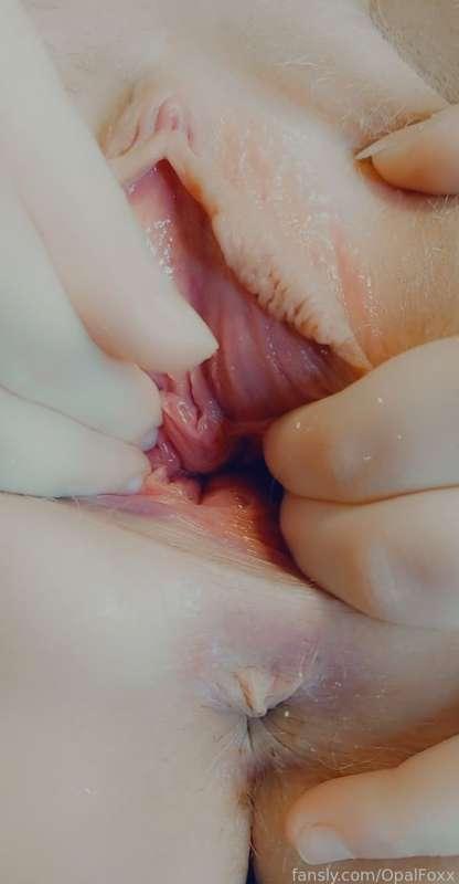 opalfoxx image #10