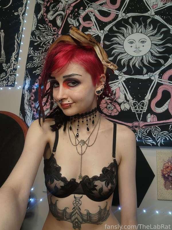 thelabrat image #0