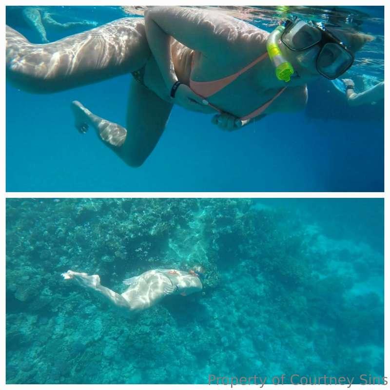 courtneysinsxo main image