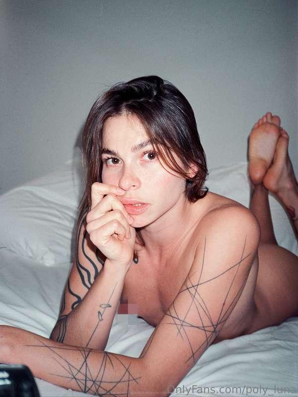 poly_luna image #0