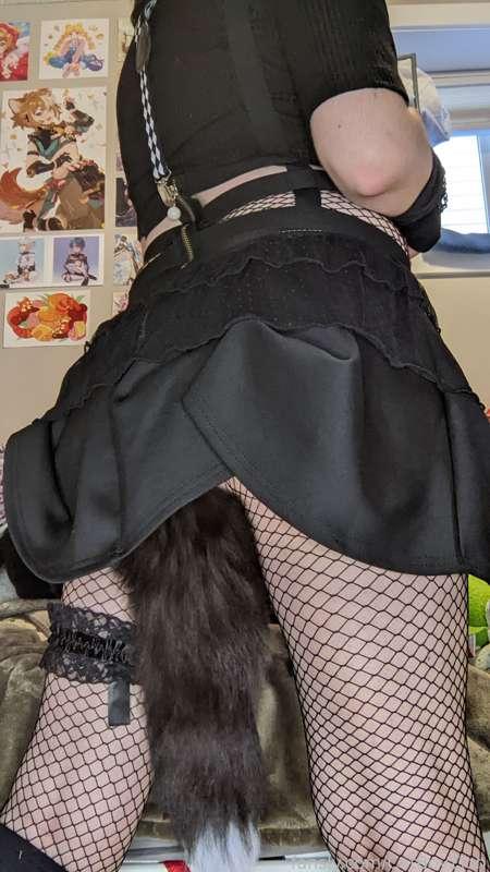 catboyzion image #4