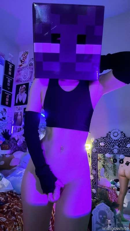 indigowhite image #326