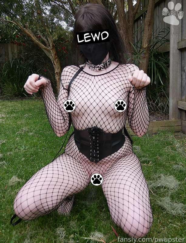 pwupster image #4