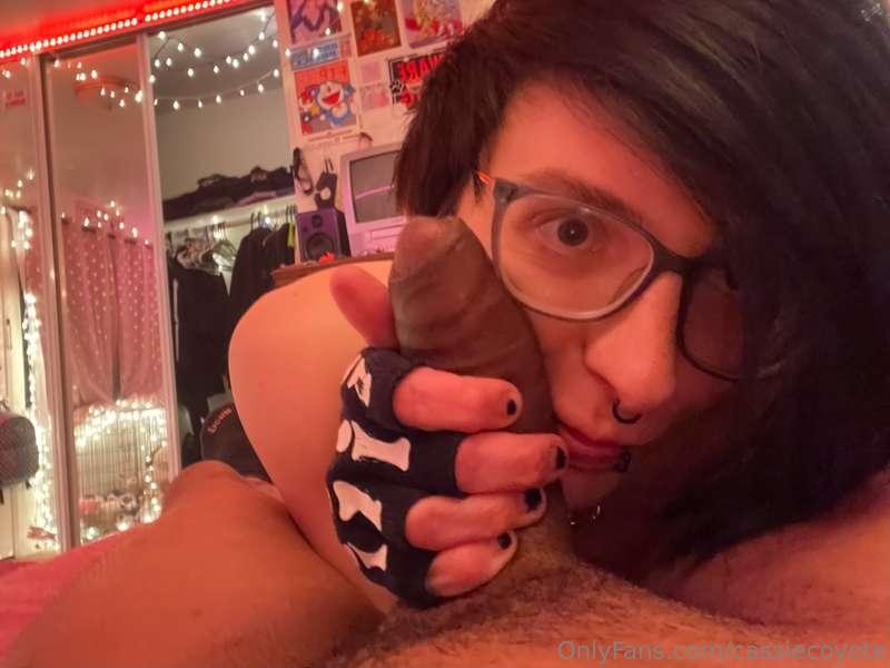 cassiecoyote image #2