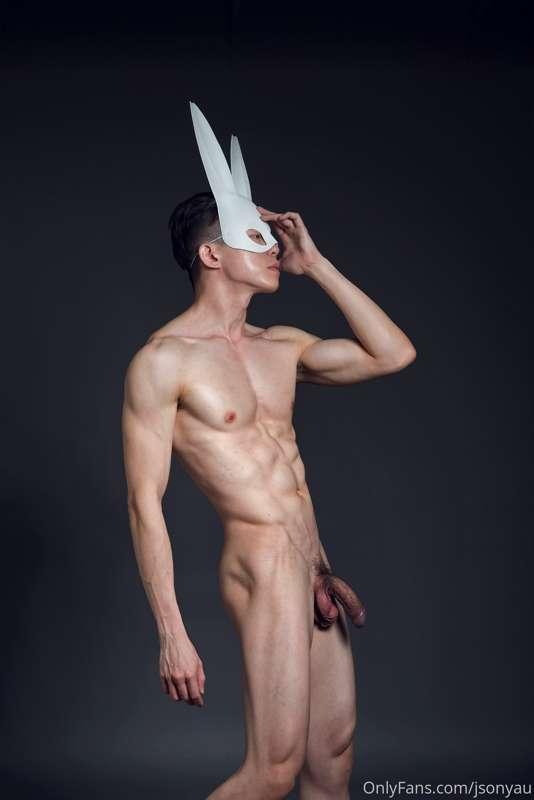 More bunny photos photographed by Eiffel Chong