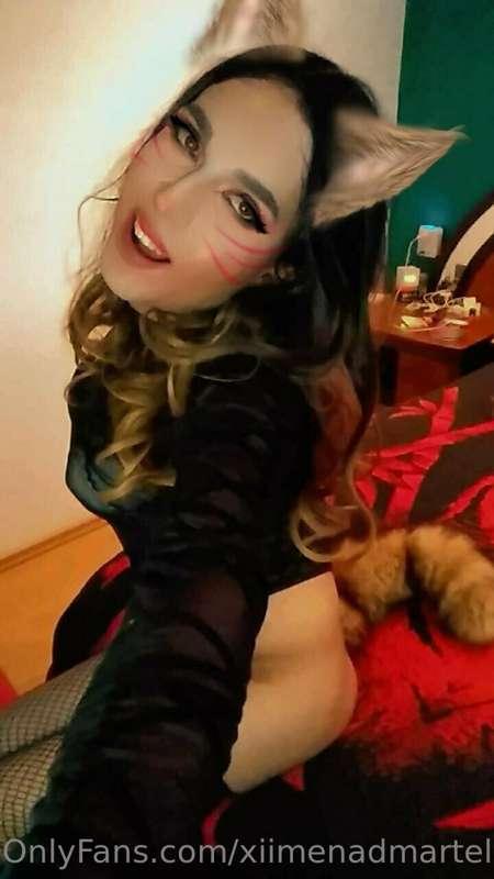 ximenadimartell image #1