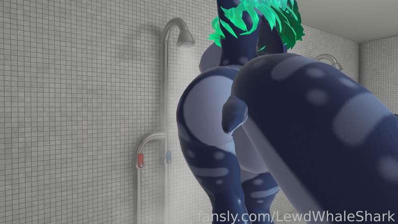 lewdwhaleshark image #1