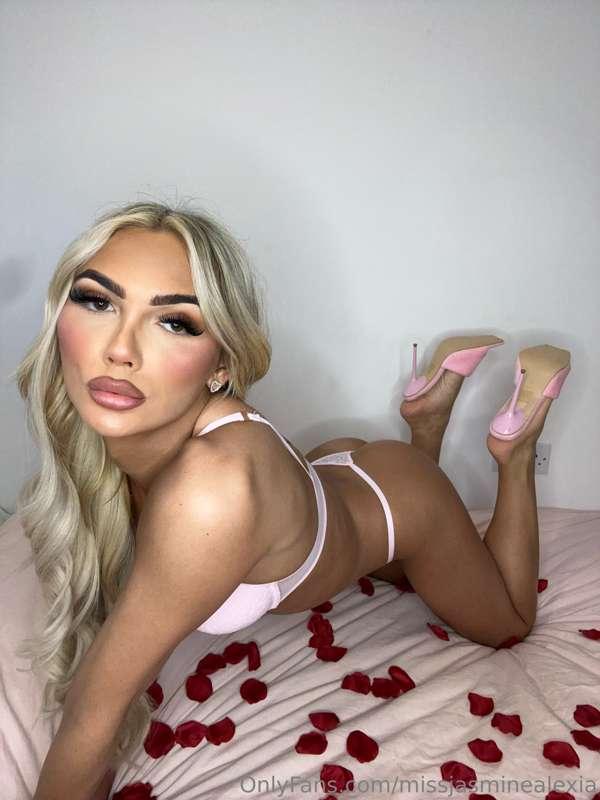 im doing dick ratings😏drop me a message if you want one x