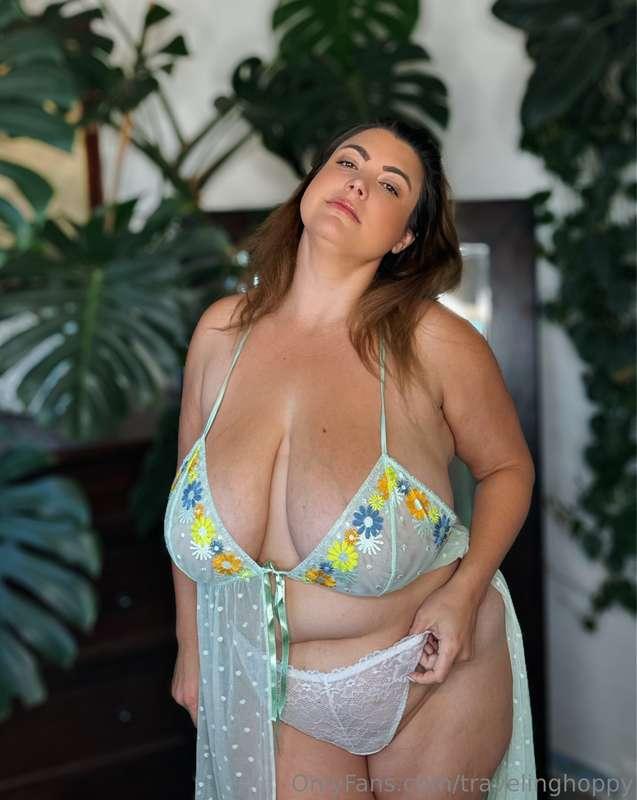 travelinghoppy image #1