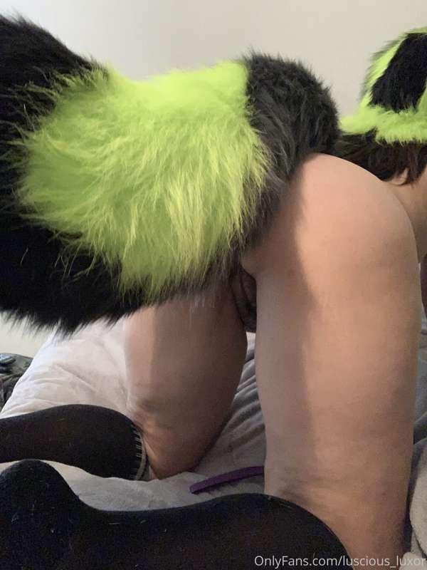 I offer tail to this conversation. 😋