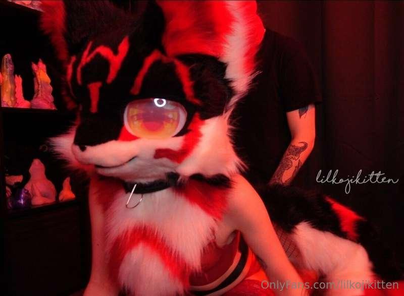 First video with @k-dwg fucking me in my fursuit! 🖤❤️

We re..