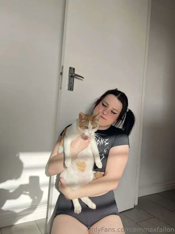 say hi to my 🐱