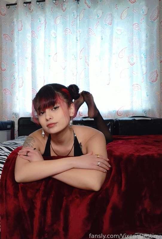 vixensdestiny image #4
