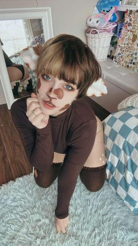 indigowhite image #138
