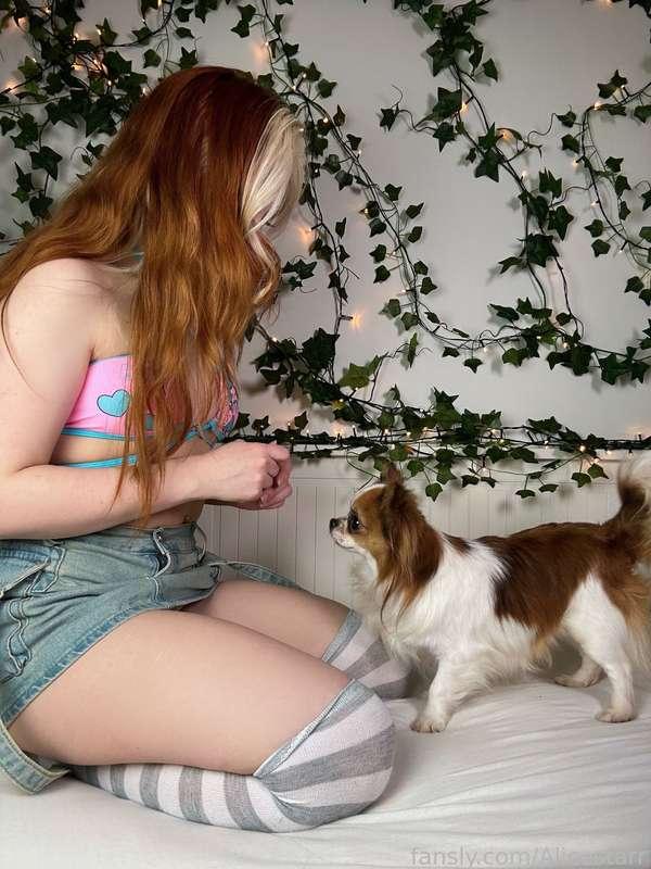alicestarr image #3