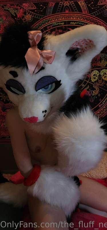 the_fluff_nextdoor image #4