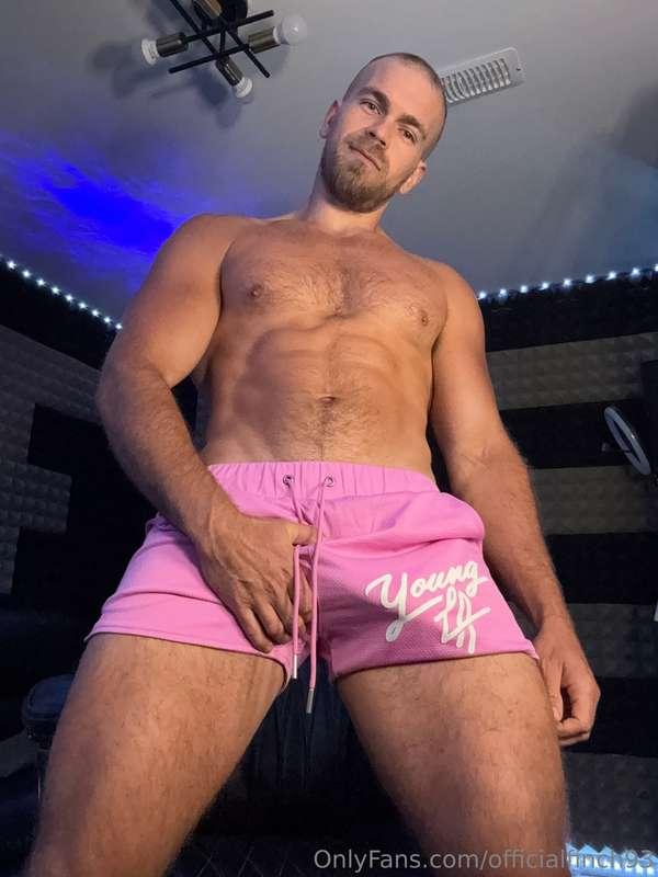 officialfinch93 image #0