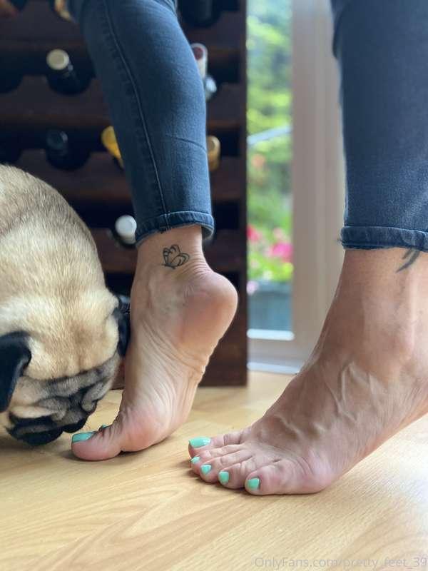 Don’t you think this cute dog is so lucky to be near these p..
