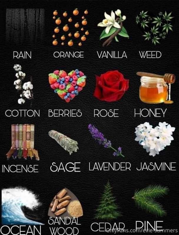 I’m so curious 😂😍 What 3 vibes do I give off?