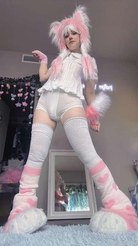 indigowhite image #111
