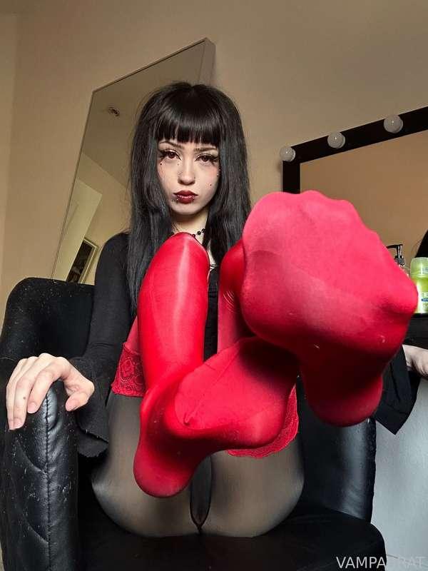 you’ll be spending your entire life chasing the thrill of having your finances fucked all for a single sniff of My nylon soles.

🦇 * TAGS — #findom #financialdominatrix #femaledominatrix  #humanatm #finsub #paypig #cashcow #dominatrix  #financialdomination #19 #brat #vampabrat #fyp  #nylons #nylonfetish #shinynylons #pantyhose 